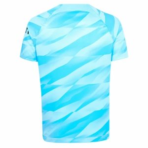 Tottenham Hotspur Torwart Hjemme Fodboldtrøjer 2023-24 Kortærmet